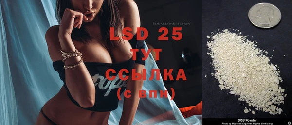 спиды Зеленокумск