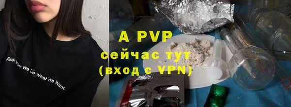 спиды Зеленокумск