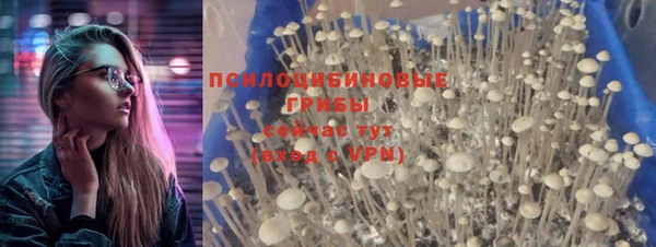 Альфа ПВП Пестово