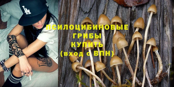 спиды Зеленокумск