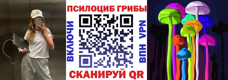 Псилоцибиновые грибы мицелий Ишимбай